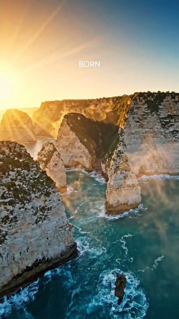 Carobium — Brand story reel